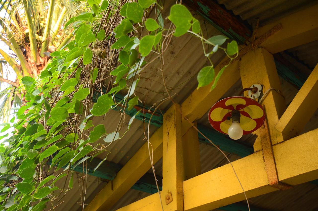 Sky Gift Traditional Farm B&B Dongshi  Bagian luar foto