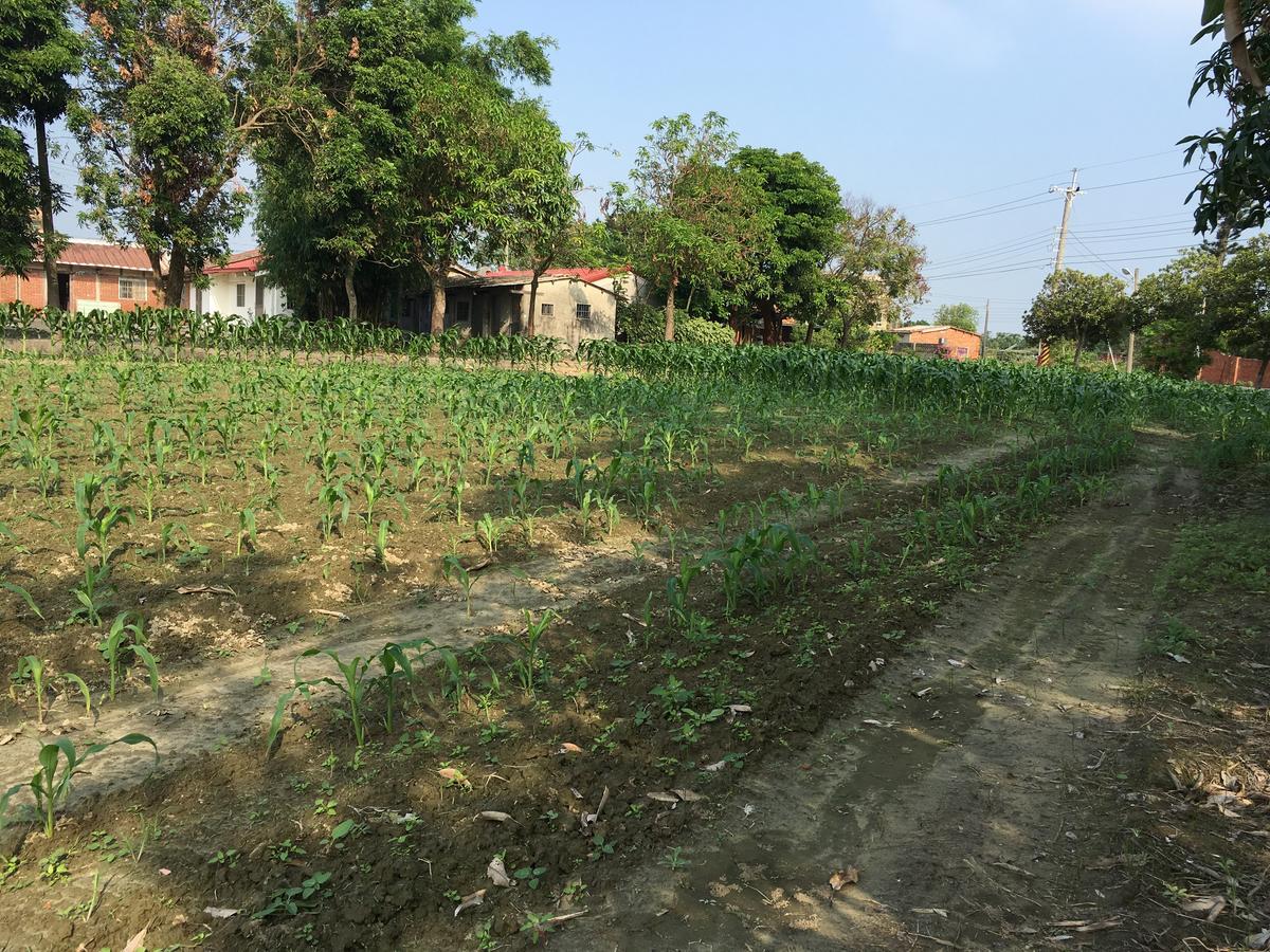 Sky Gift Traditional Farm B&B Dongshi  Bagian luar foto